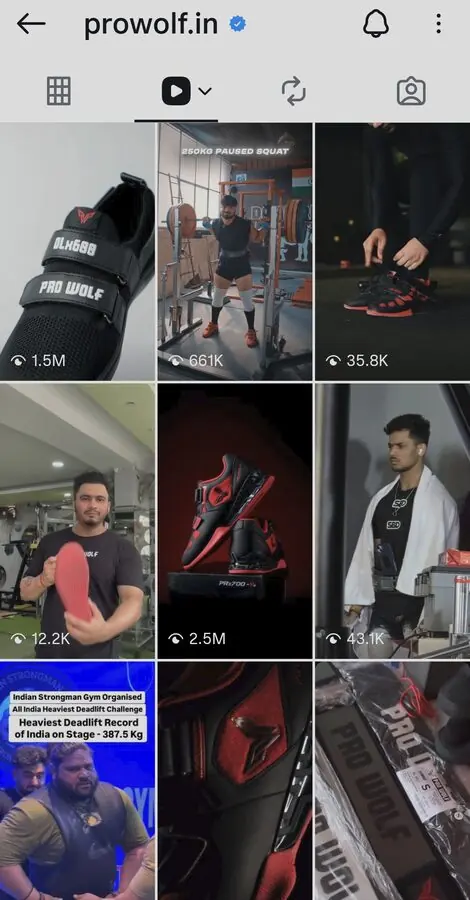 Instagram screenshot: Pro Wolf reels, 2.5M views on one reel, profile view